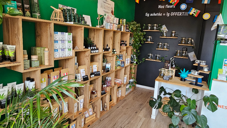 découvrez les tendances déco incontournables dans le 13ème arrondissement de paris : idées originales, adresses inspirantes et conseils pour transformer votre intérieur avec style.