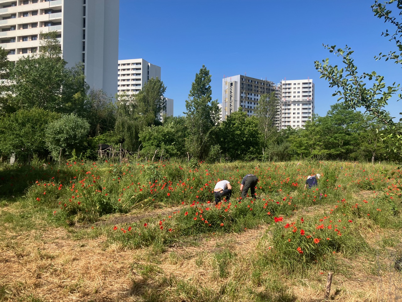 découvrez comment la transformation de l’espace à nanterre redéfinit le paysage urbain, favorisant innovation, modernité et qualité de vie pour les habitants et les visiteurs.