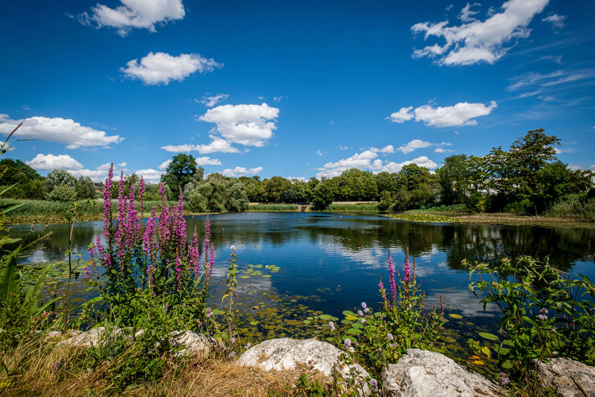 découvrez nos conseils et solutions pour optimiser l’espace à vaucresson : aménagement intelligent, rangement sur mesure et astuces pratiques pour maximiser chaque mètre carré de votre intérieur.