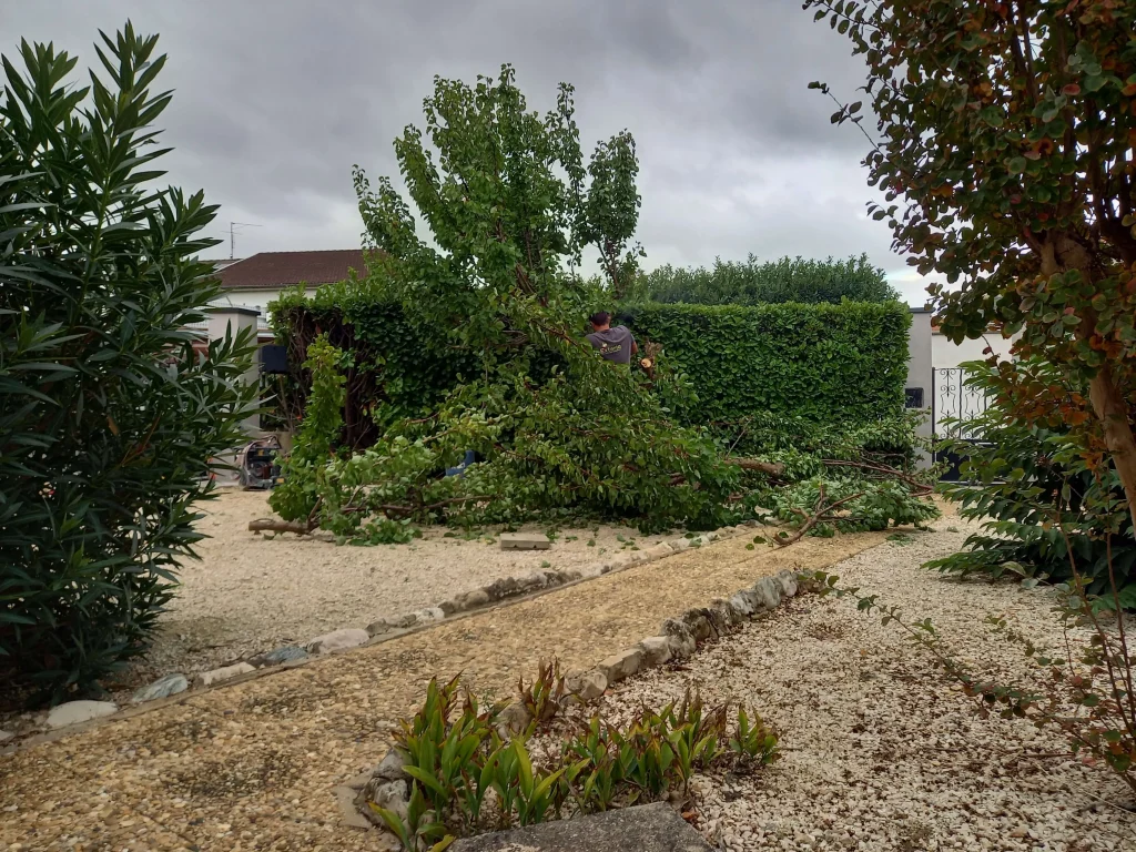 découvrez les prix du terrassement au mètre carré en 2025 et obtenez des conseils pour planifier votre projet de construction efficacement et à moindre coût.