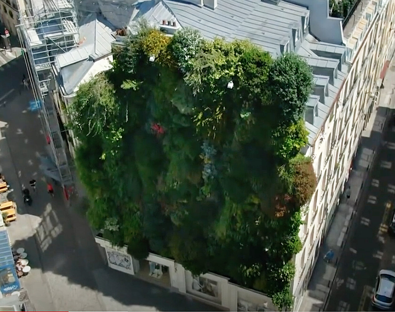 découvrez le square marie-curie à austerlitz, une véritable oasis de nature en plein cœur de la ville, idéale pour se détendre et profiter d'un cadre verdoyant.